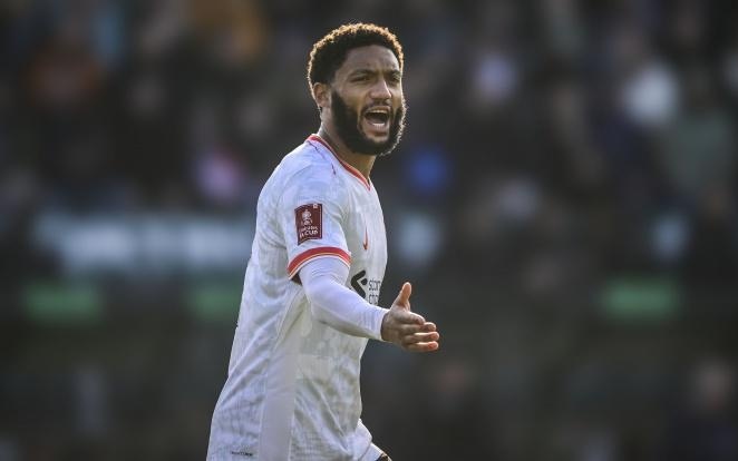 纷纷加入到 纷纷加入到