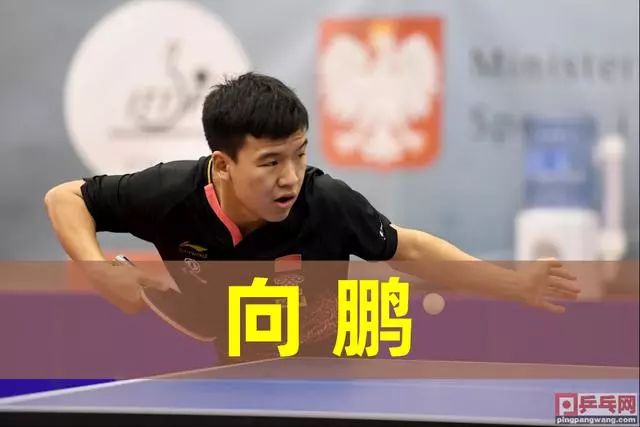 心理素质 心理素质