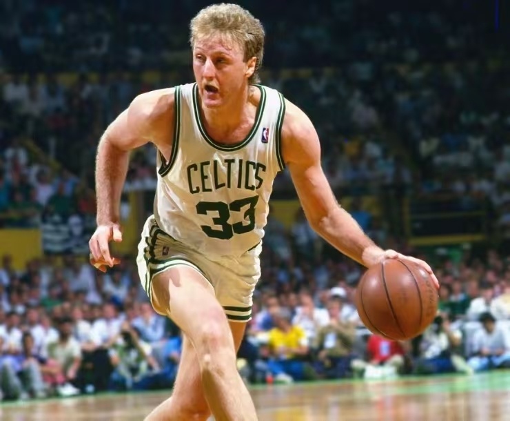 他们常使用 他们常使用